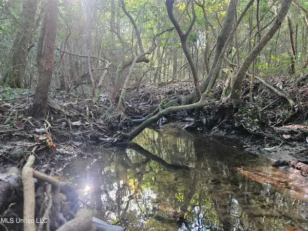 $449,000 | Ben Byrd Road, Lumberton, MS 39455