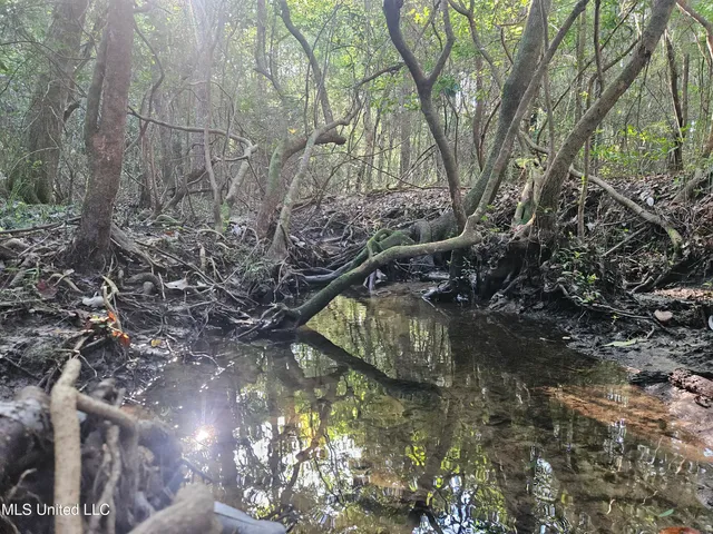 $449,000 | Ben Byrd Road, Lumberton, MS 39455