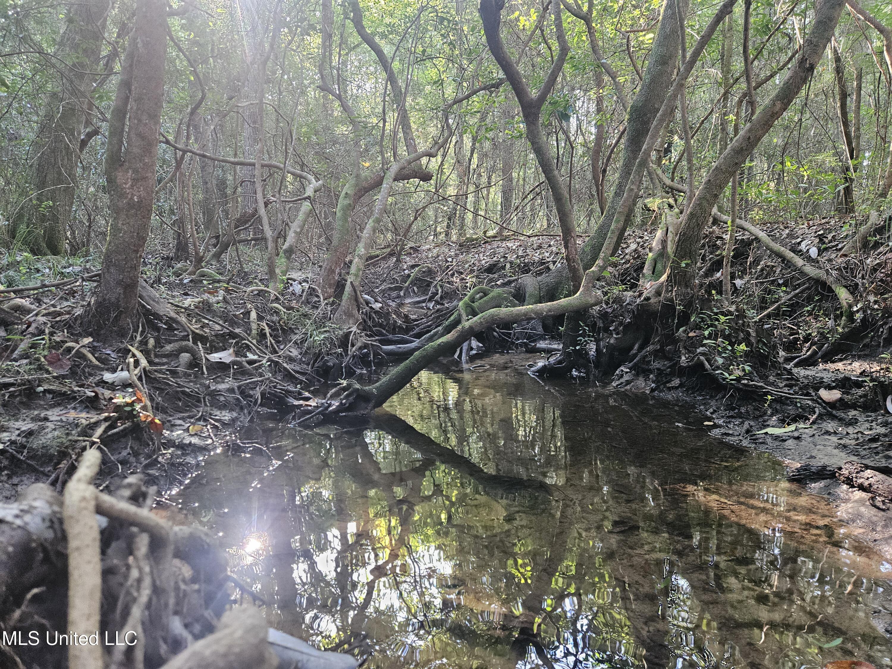 Ben Byrd Road Lumberton, MS 39455 - Photo 38 of 57 20250816_082541