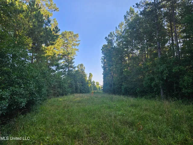 $449,000 | Ben Byrd Road, Lumberton, MS 39455