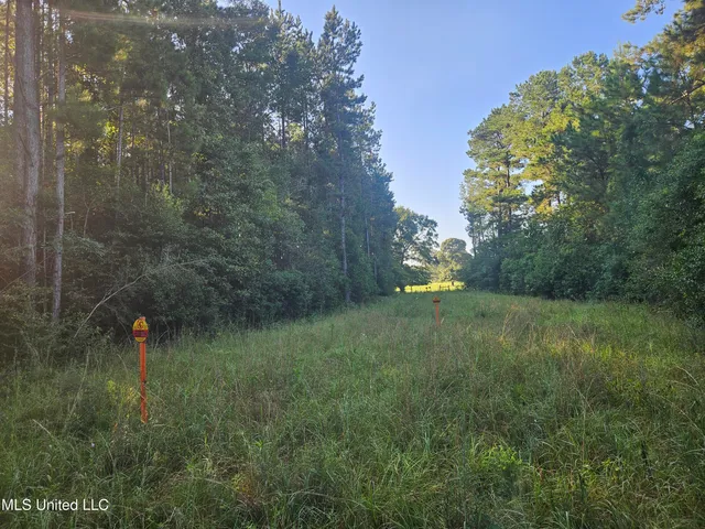 $449,000 | Ben Byrd Road, Lumberton, MS 39455