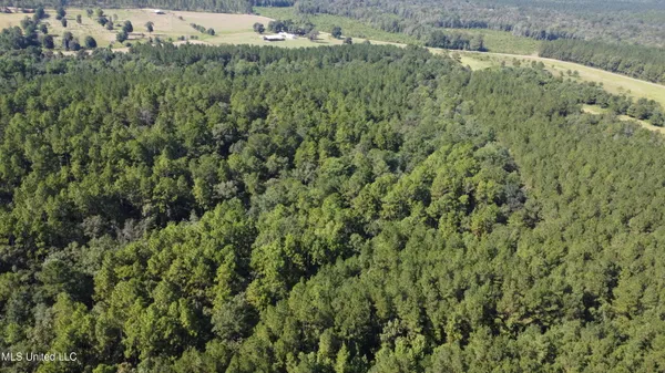 $449,000 | Ben Byrd Road, Lumberton, MS 39455