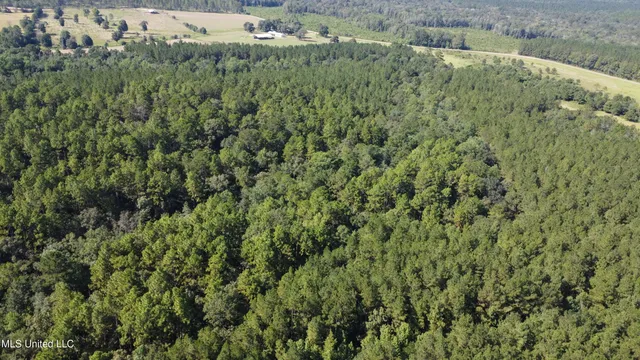 $449,000 | Ben Byrd Road, Lumberton, MS 39455