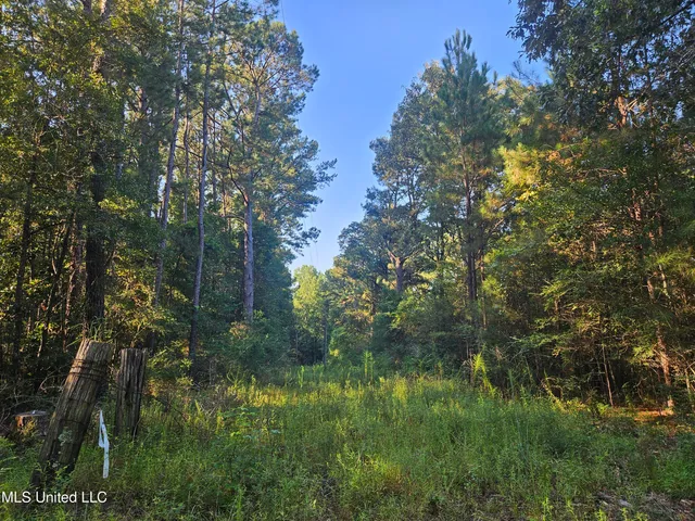 $449,000 | Ben Byrd Road, Lumberton, MS 39455