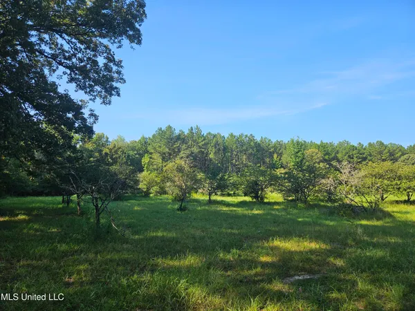 $449,000 | Ben Byrd Road, Lumberton, MS 39455
