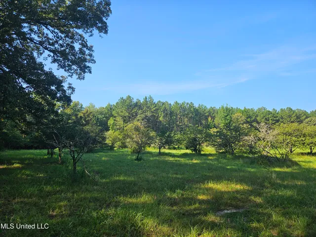$449,000 | Ben Byrd Road, Lumberton, MS 39455