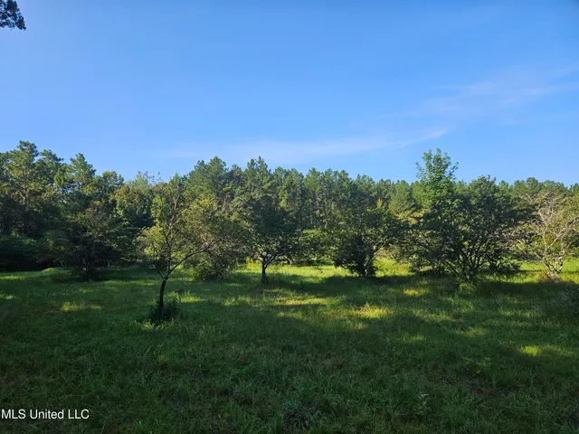 $449,000 | Ben Byrd Road, Lumberton, MS 39455