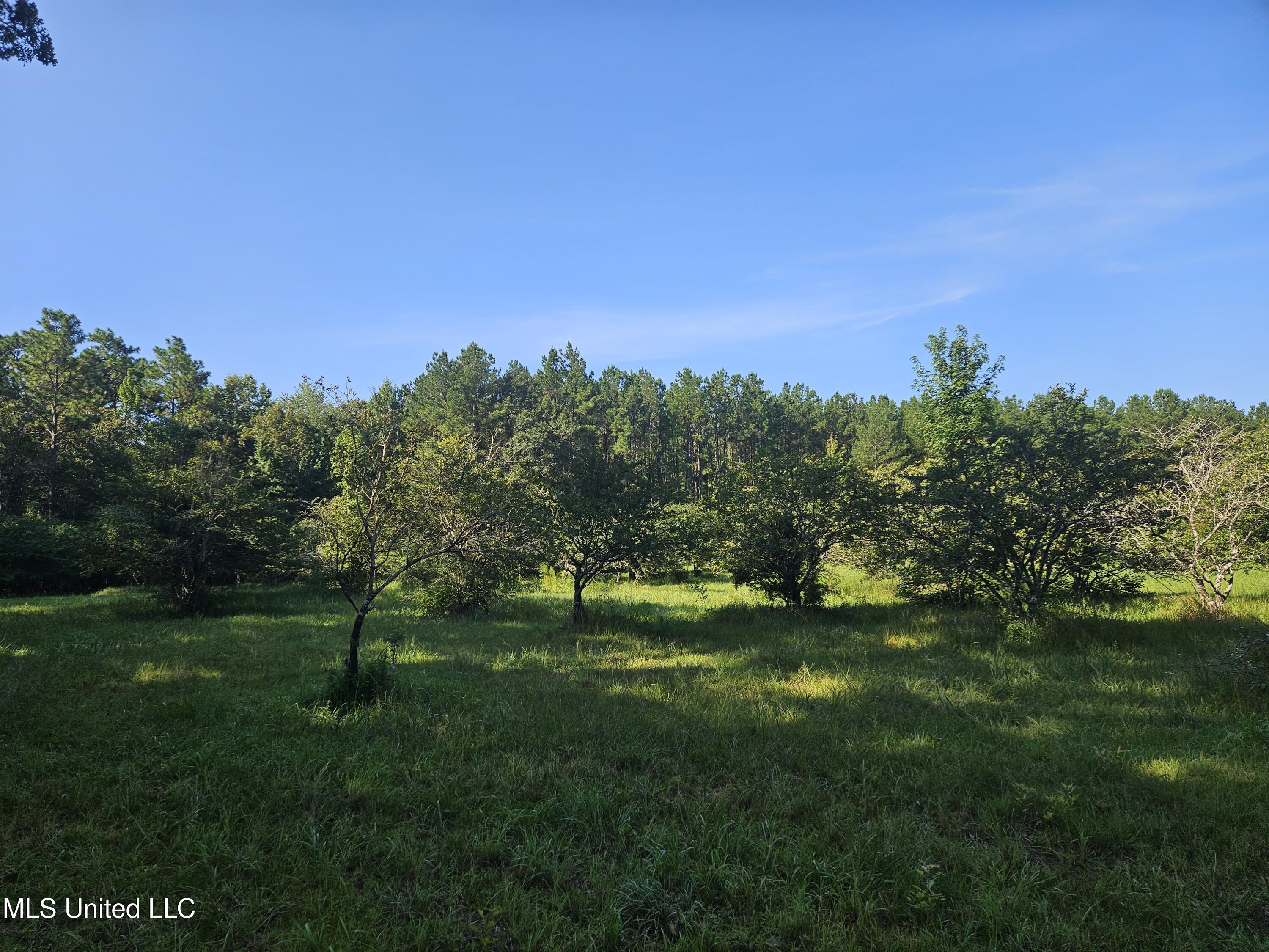 Ben Byrd Road Lumberton, MS 39455 - Photo 43 of 57 20250816_091806