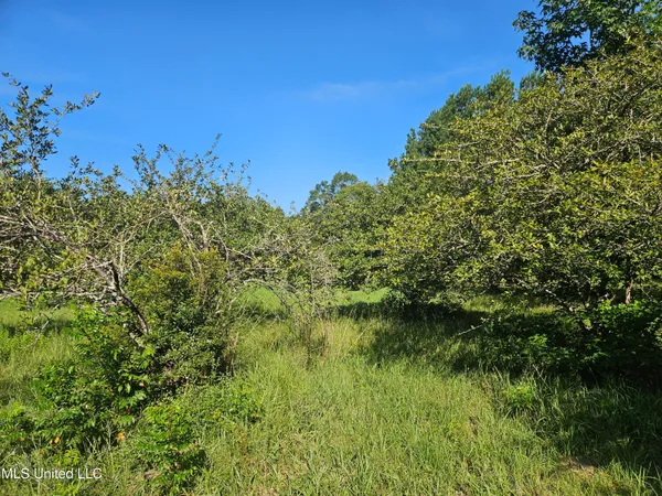 $449,000 | Ben Byrd Road, Lumberton, MS 39455