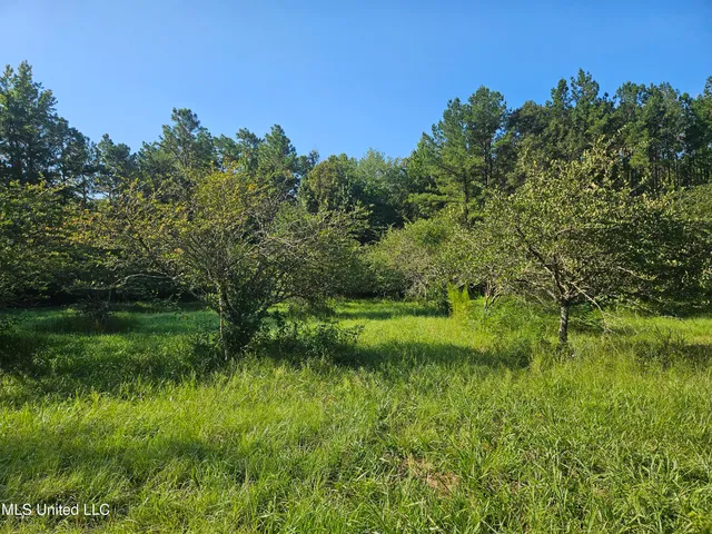 $449,000 | Ben Byrd Road, Lumberton, MS 39455