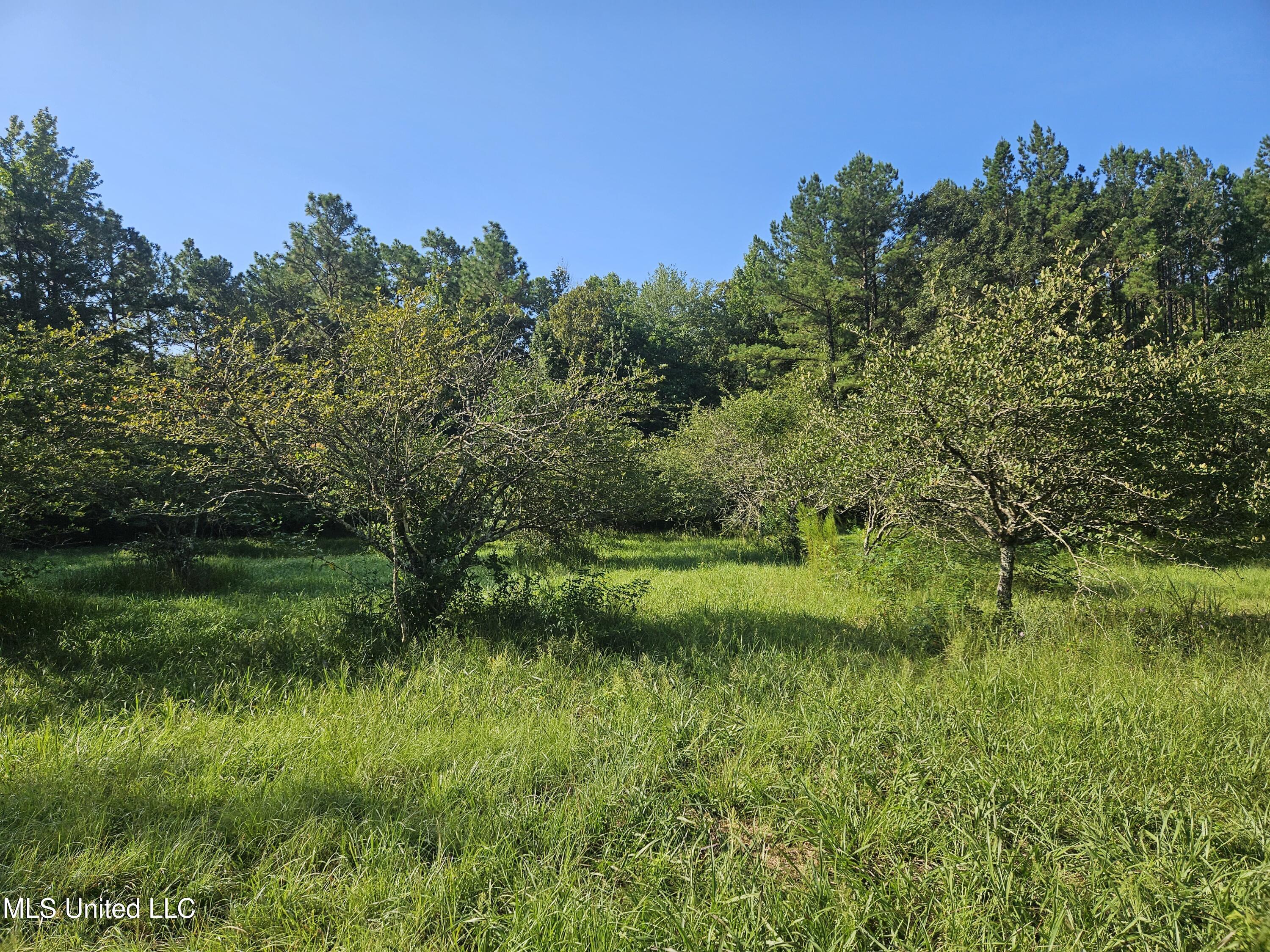 Ben Byrd Road Lumberton, MS 39455 - Photo 45 of 57 20250816_091827