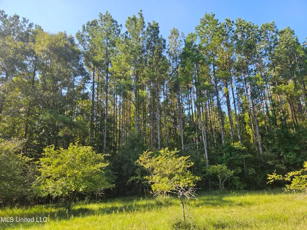 $449,000 | Ben Byrd Road, Lumberton, MS 39455