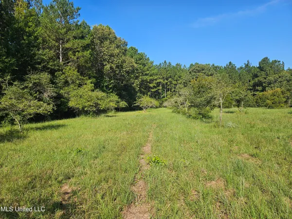$449,000 | Ben Byrd Road, Lumberton, MS 39455