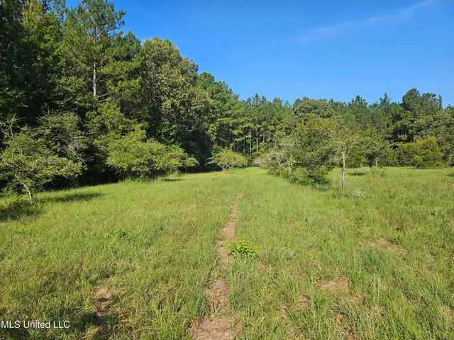 $449,000 | Ben Byrd Road, Lumberton, MS 39455