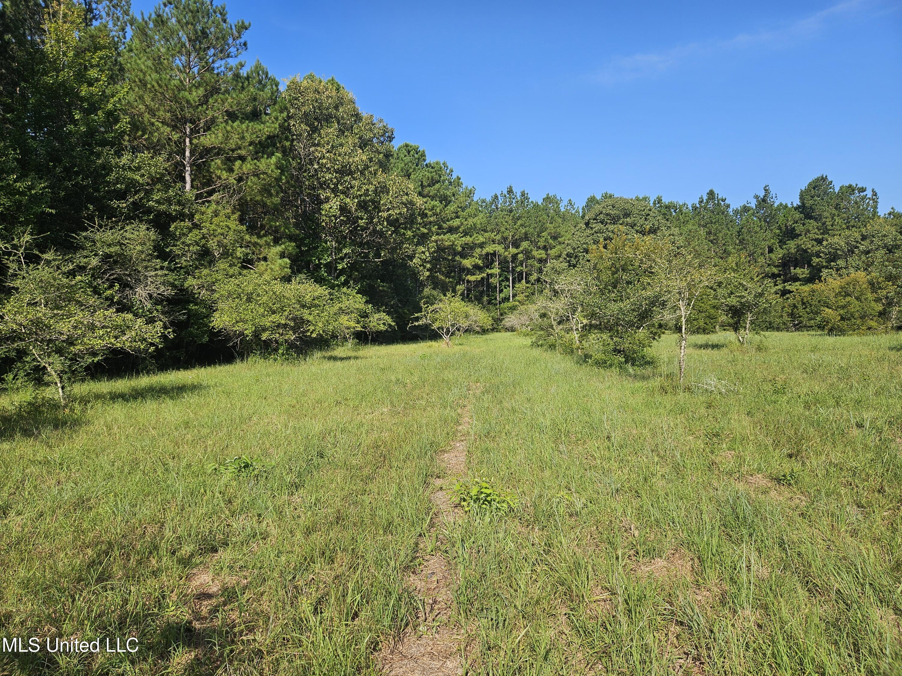 Ben Byrd Road Lumberton, MS 39455 - Photo 47 of 57 20250816_091913