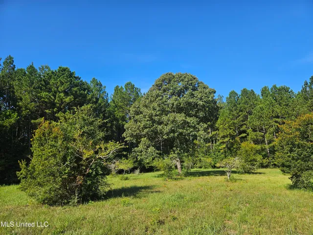 $449,000 | Ben Byrd Road, Lumberton, MS 39455