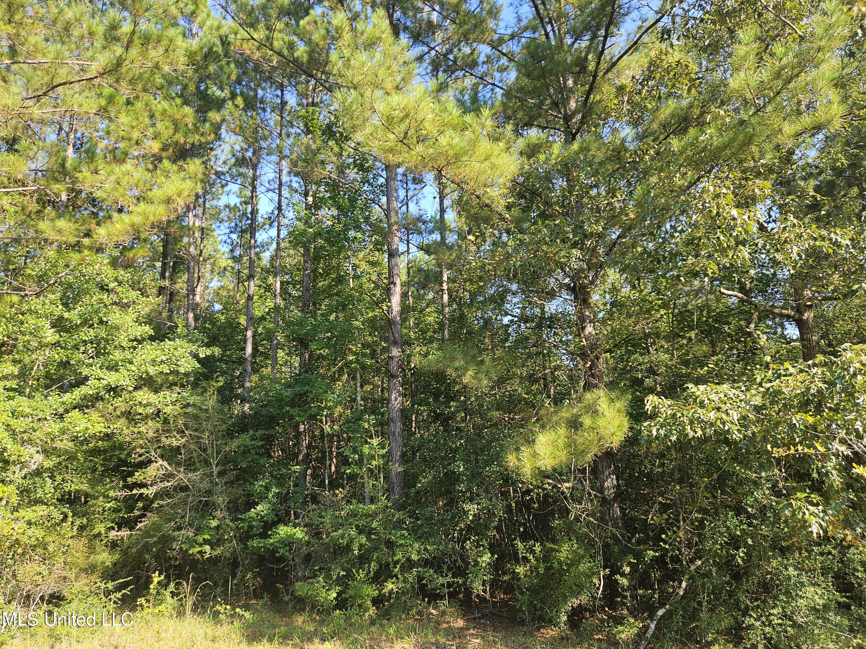 Ben Byrd Road Lumberton, MS 39455 - Photo 49 of 57 20250816_092030