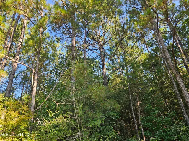 $449,000 | Ben Byrd Road, Lumberton, MS 39455