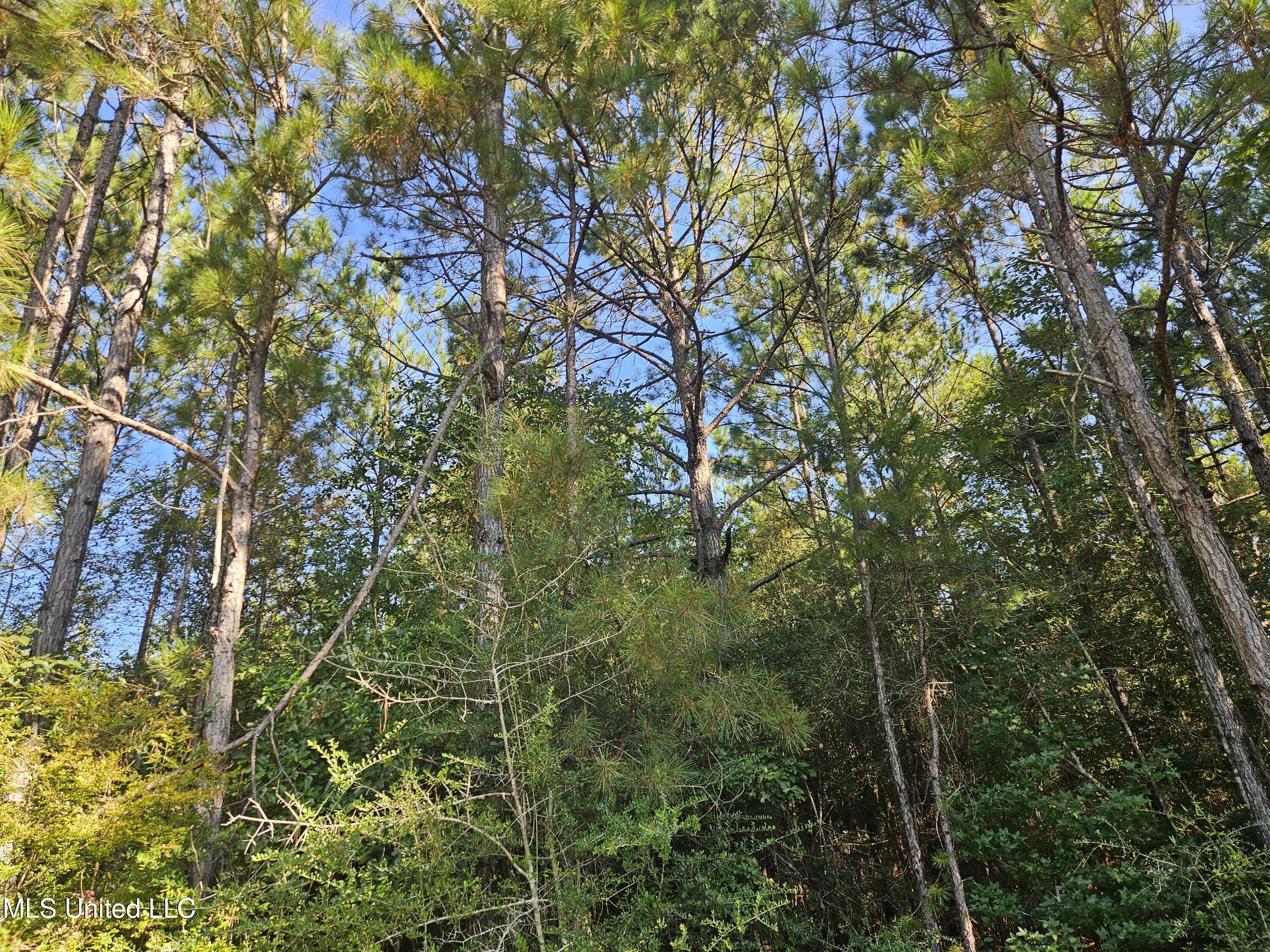 Ben Byrd Road Lumberton, MS 39455 - Photo 50 of 57 20250816_092148