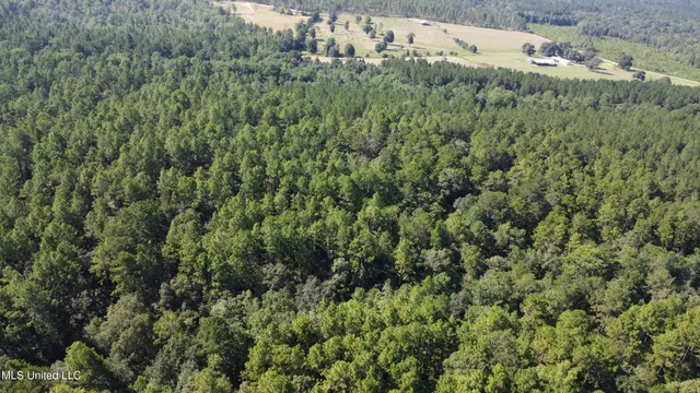 $449,000 | Ben Byrd Road, Lumberton, MS 39455