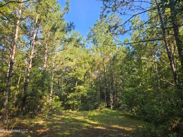 $449,000 | Ben Byrd Road, Lumberton, MS 39455