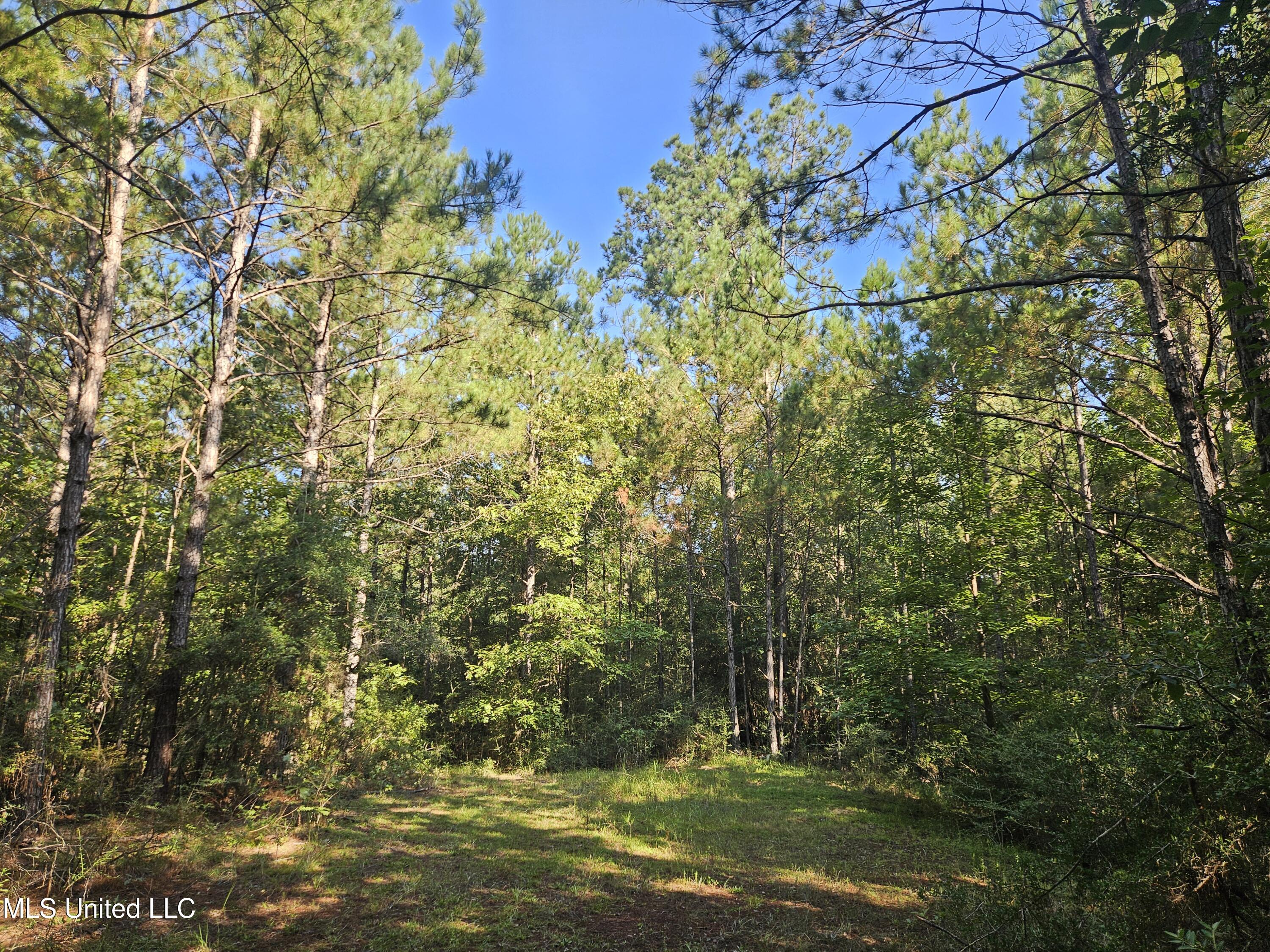 Ben Byrd Road Lumberton, MS 39455 - Photo 51 of 57 20250816_092250