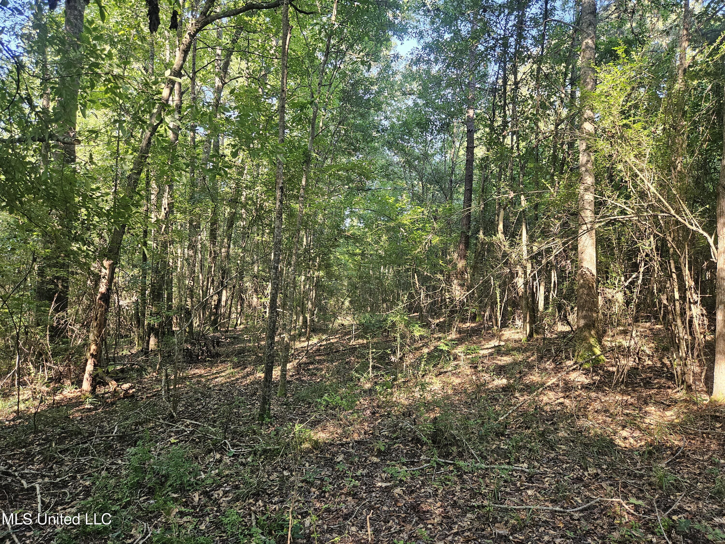 Ben Byrd Road Lumberton, MS 39455 - Photo 52 of 57 20250816_092654