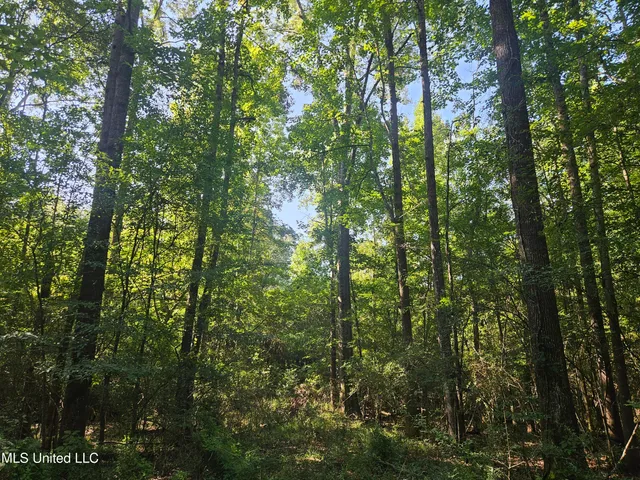 $449,000 | Ben Byrd Road, Lumberton, MS 39455