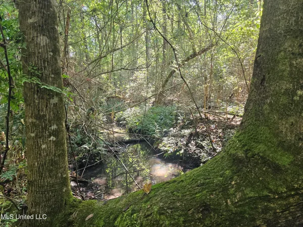 $449,000 | Ben Byrd Road, Lumberton, MS 39455