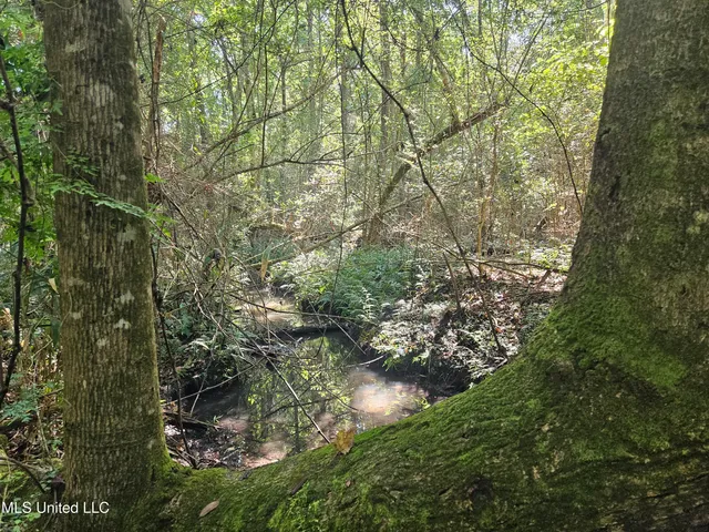 $449,000 | Ben Byrd Road, Lumberton, MS 39455