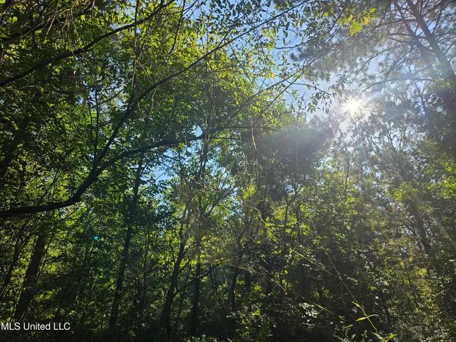 $449,000 | Ben Byrd Road, Lumberton, MS 39455