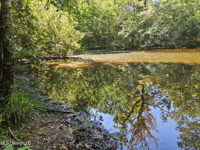 $449,000 | Ben Byrd Road, Lumberton, MS 39455