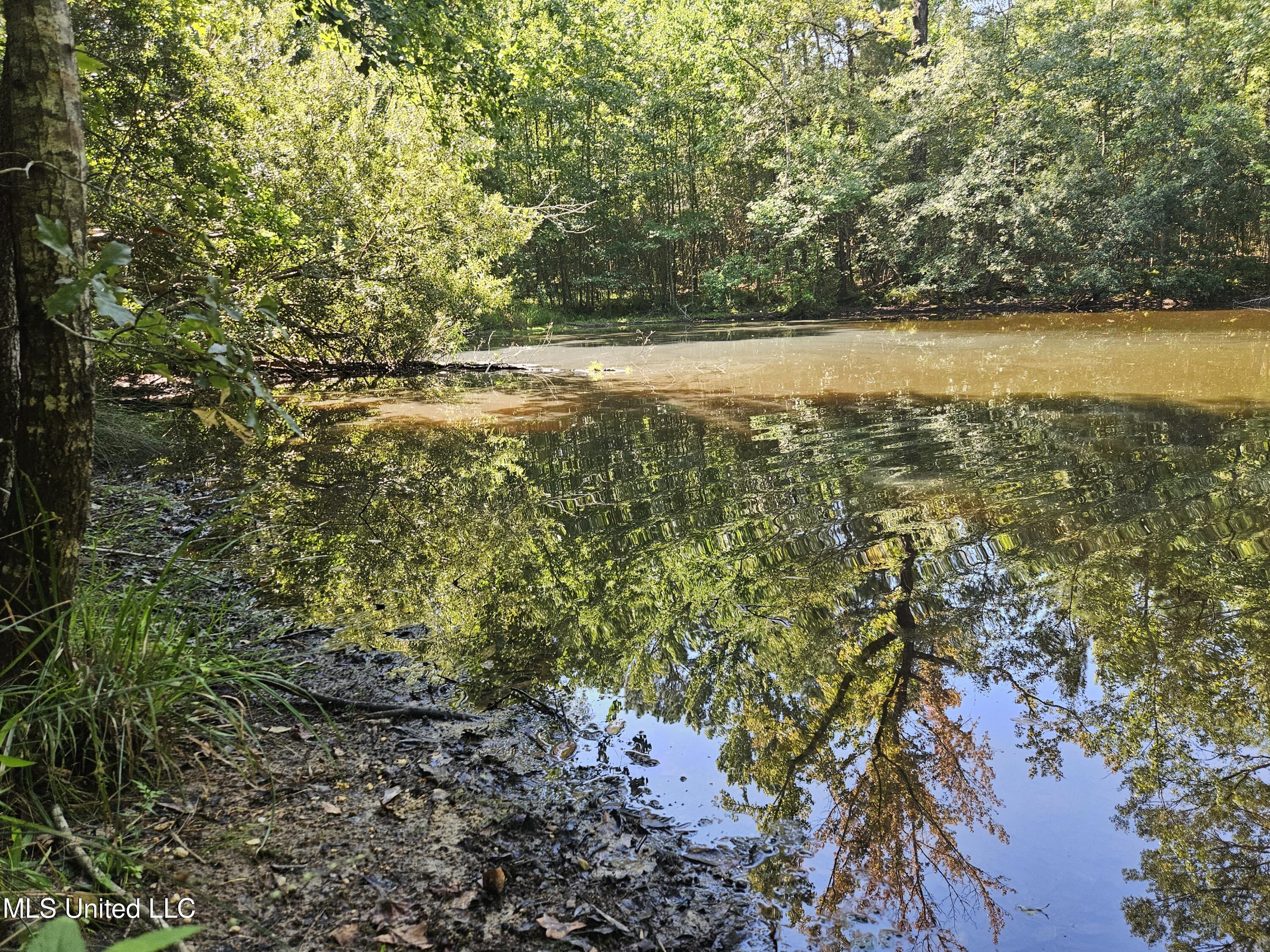 Ben Byrd Road Lumberton, MS 39455 - Photo 56 of 57 20250816_103458
