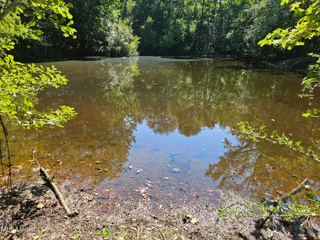 $449,000 | Ben Byrd Road, Lumberton, MS 39455