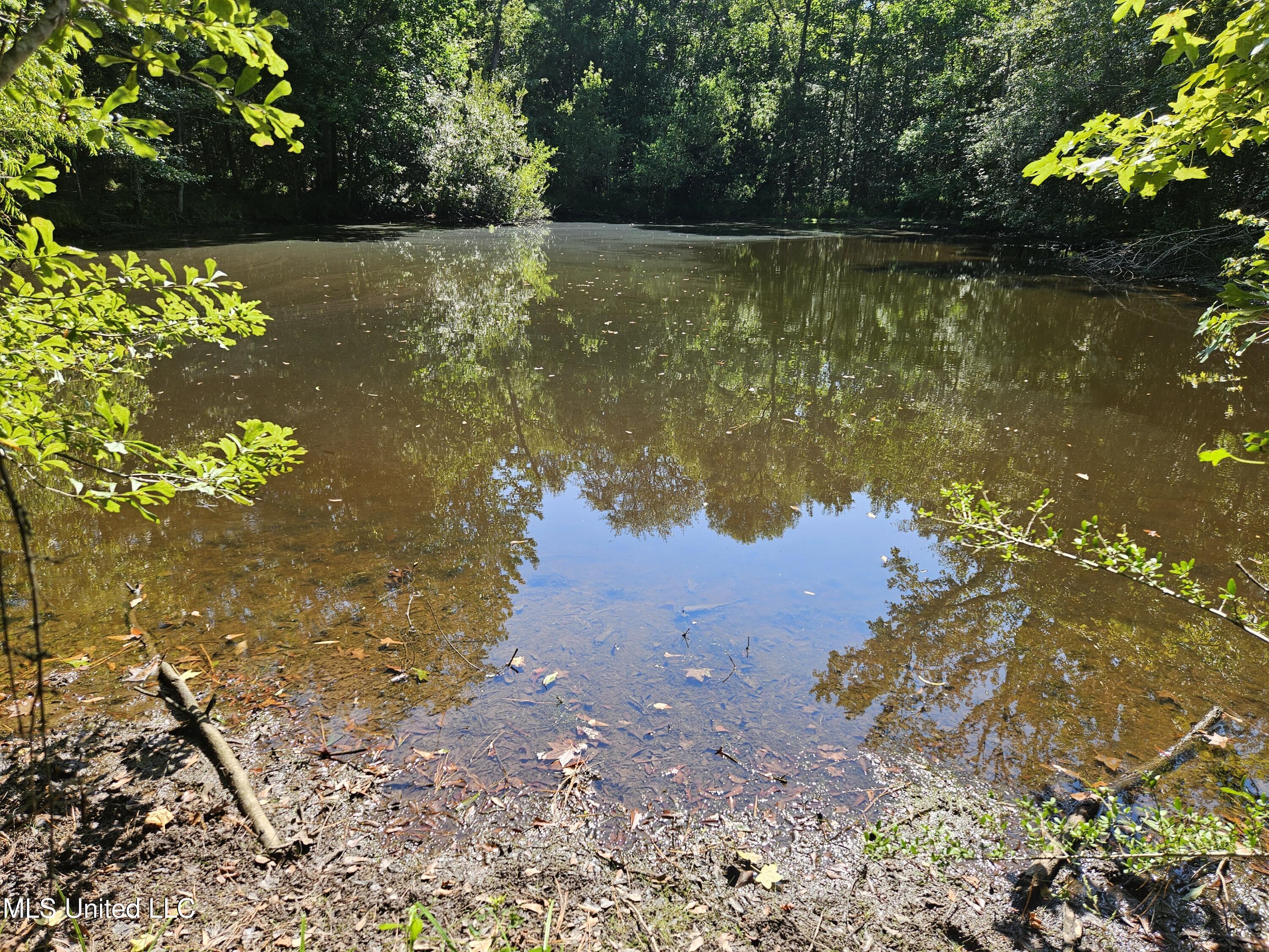 Ben Byrd Road Lumberton, MS 39455 - Photo 57 of 57 20250816_103553