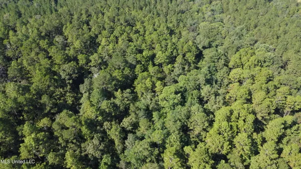 $449,000 | Ben Byrd Road, Lumberton, MS 39455