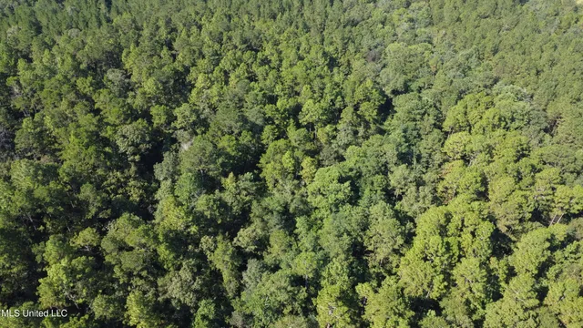 $449,000 | Ben Byrd Road, Lumberton, MS 39455