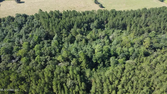 $449,000 | Ben Byrd Road, Lumberton, MS 39455