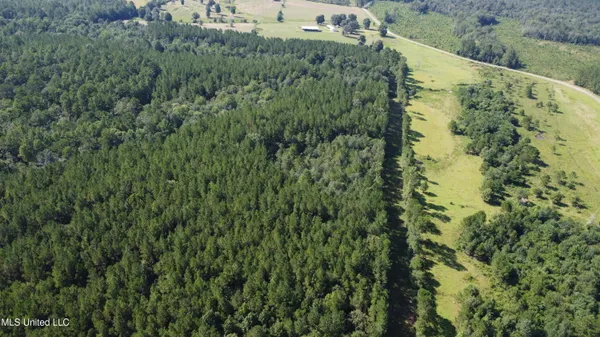 $449,000 | Ben Byrd Road, Lumberton, MS 39455