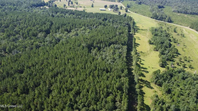 $449,000 | Ben Byrd Road, Lumberton, MS 39455