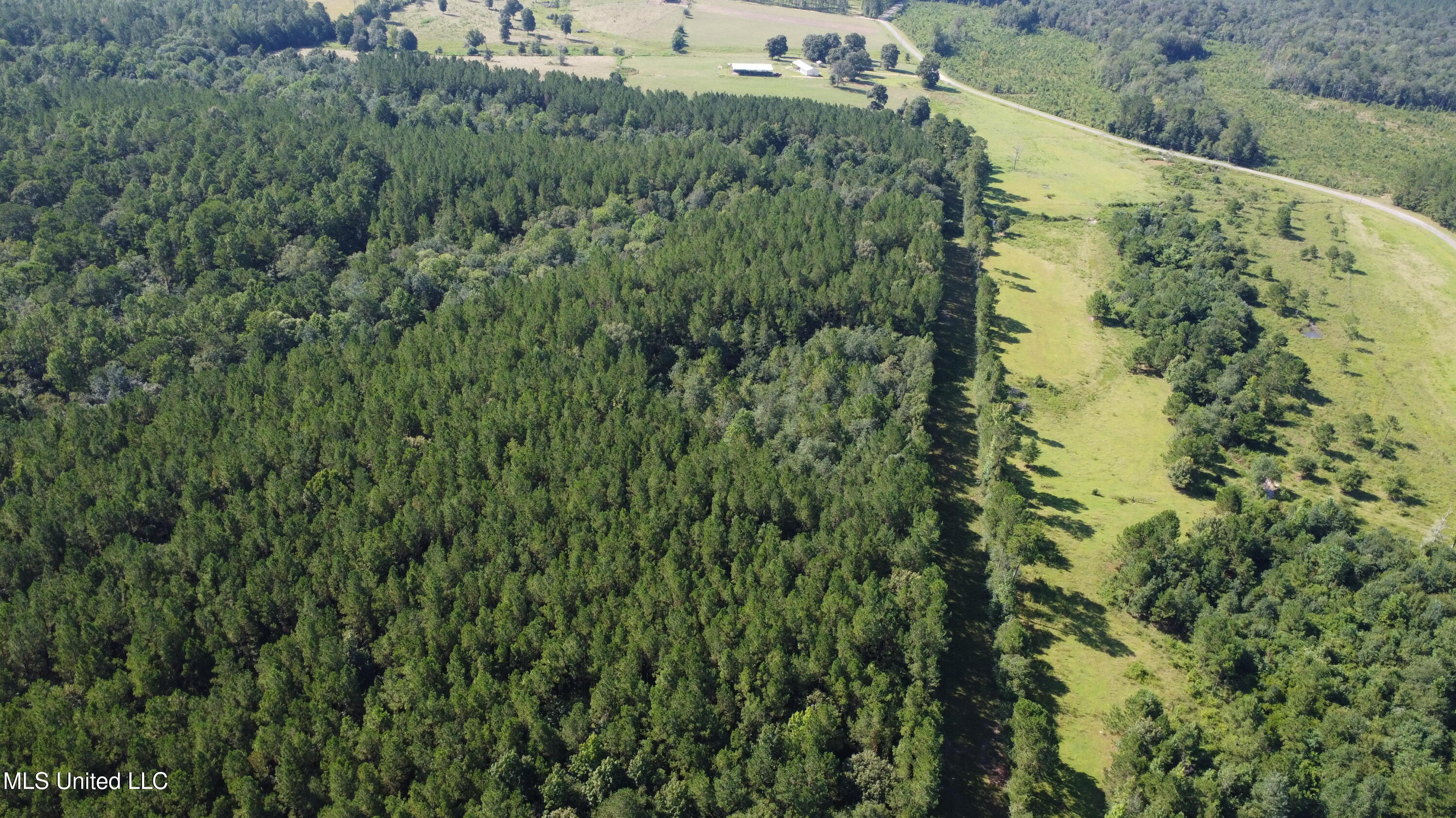 Ben Byrd Road Lumberton, MS 39455 - Photo 8 of 57 DJI_0420