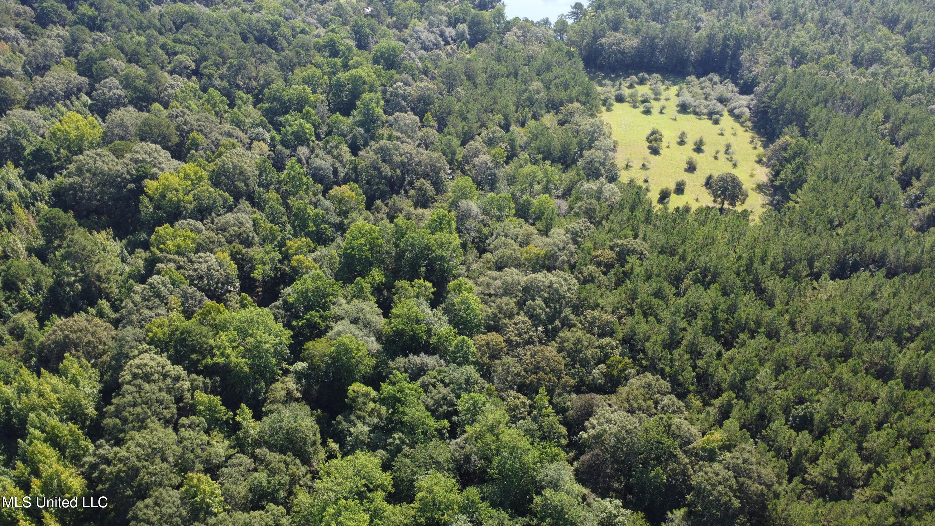 Ben Byrd Road Lumberton, MS 39455 - Photo 9 of 57 DJI_0421