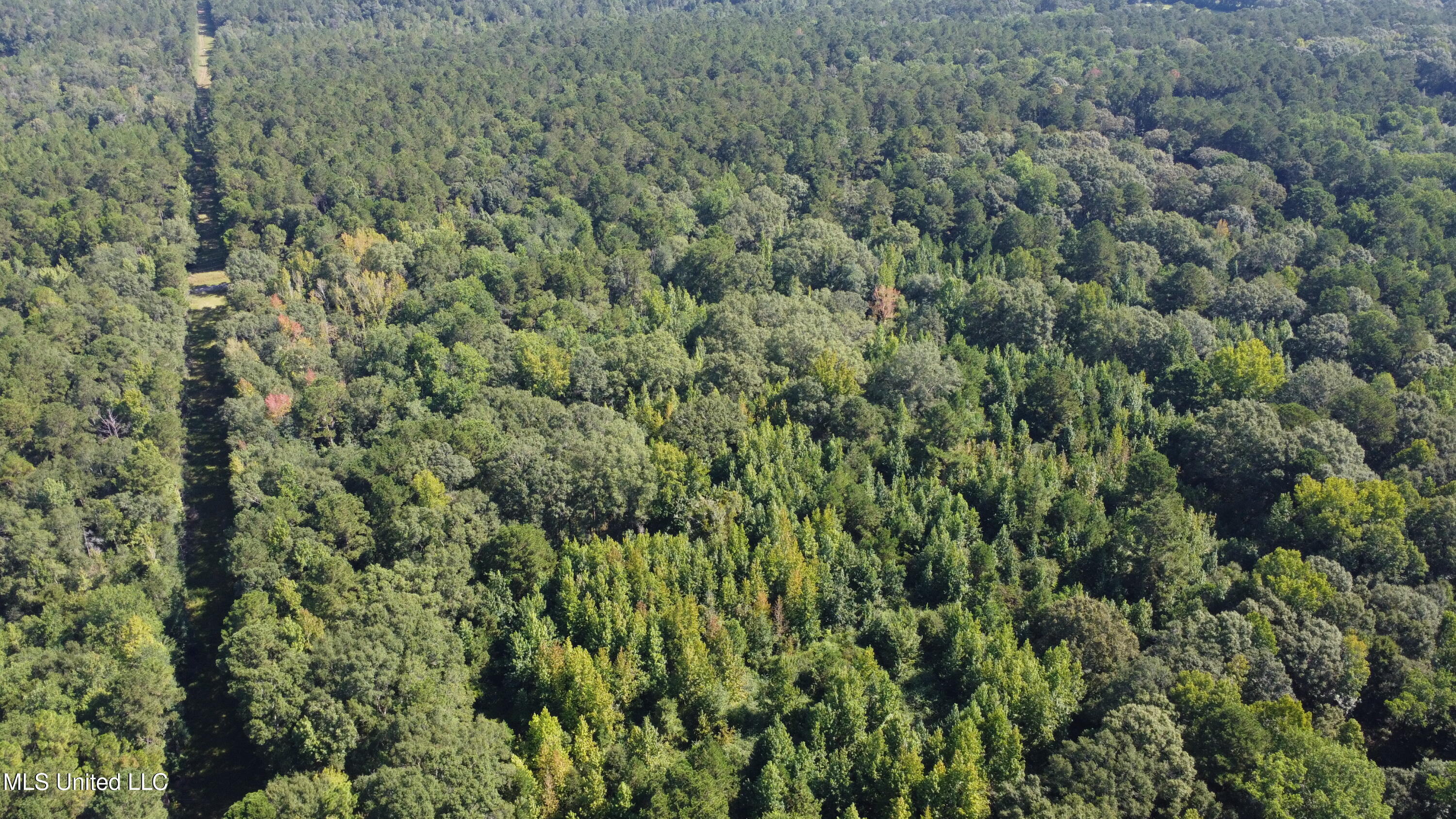 Ben Byrd Road Lumberton, MS 39455 - Photo 10 of 57 DJI_0422