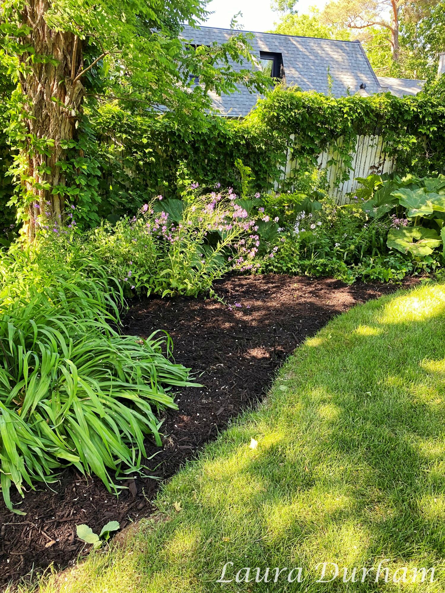 526 Butler Street Saugatuck, MI 49453 - Photo 29 of 33 Image-3LJD