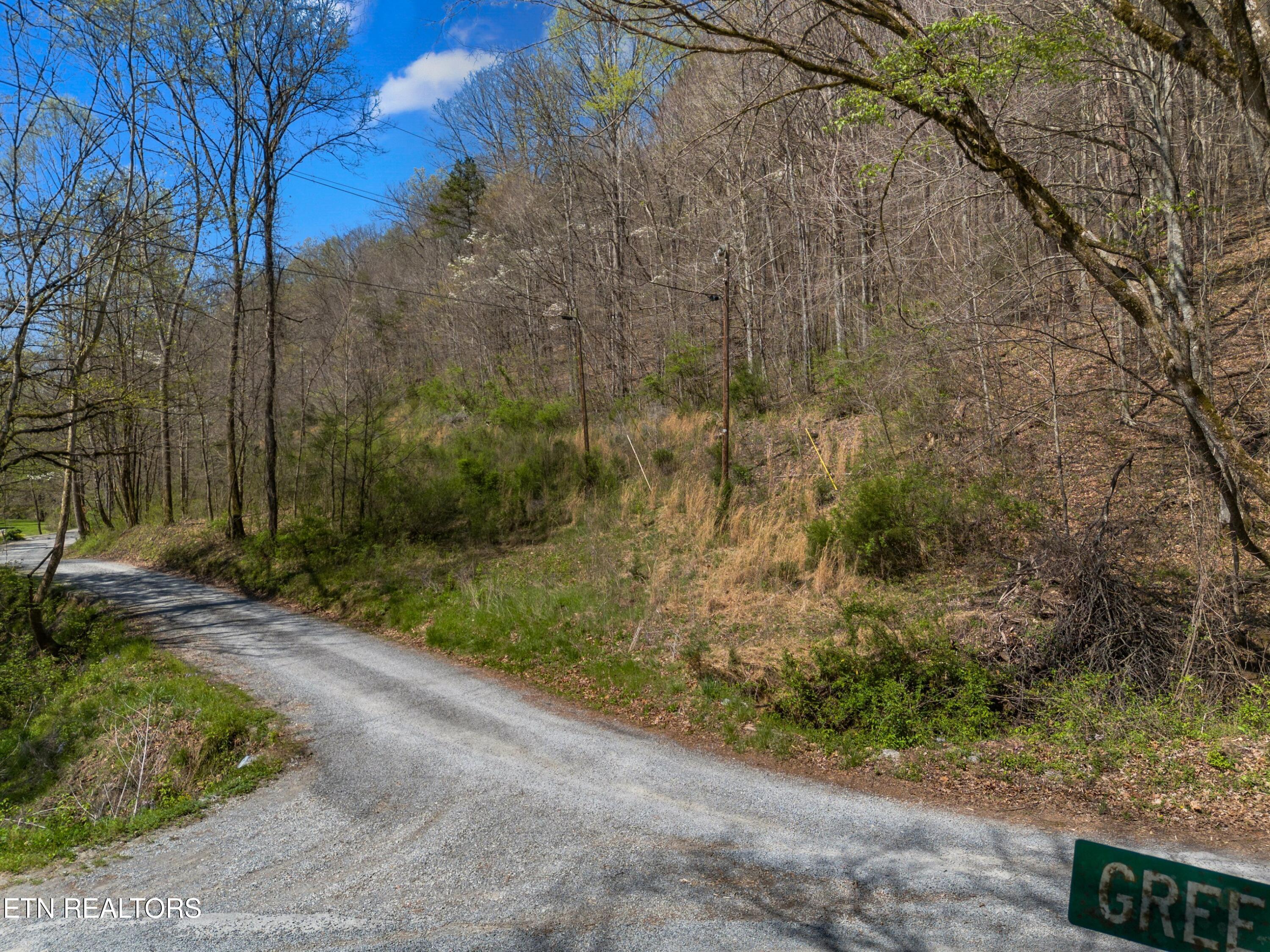 Greever Hollow Road Tazewell, TN 37879 - Photo 11 of 19 017-GreeverHollowRoad-Taswell-TN-37879-S