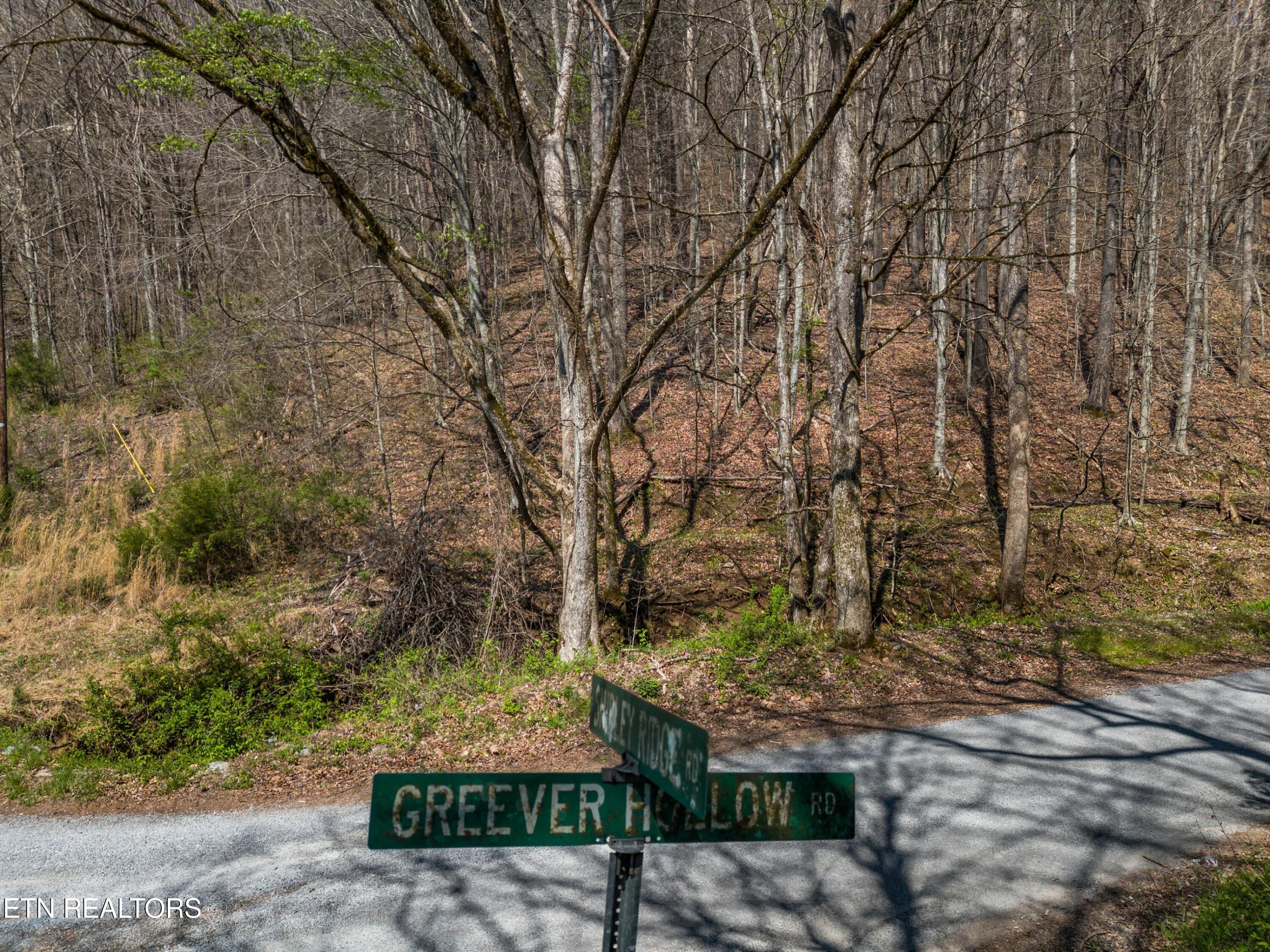 Greever Hollow Road Tazewell, TN 37879 - Photo 12 of 19 018-GreeverHollowRoad-Taswell-TN-37879-S