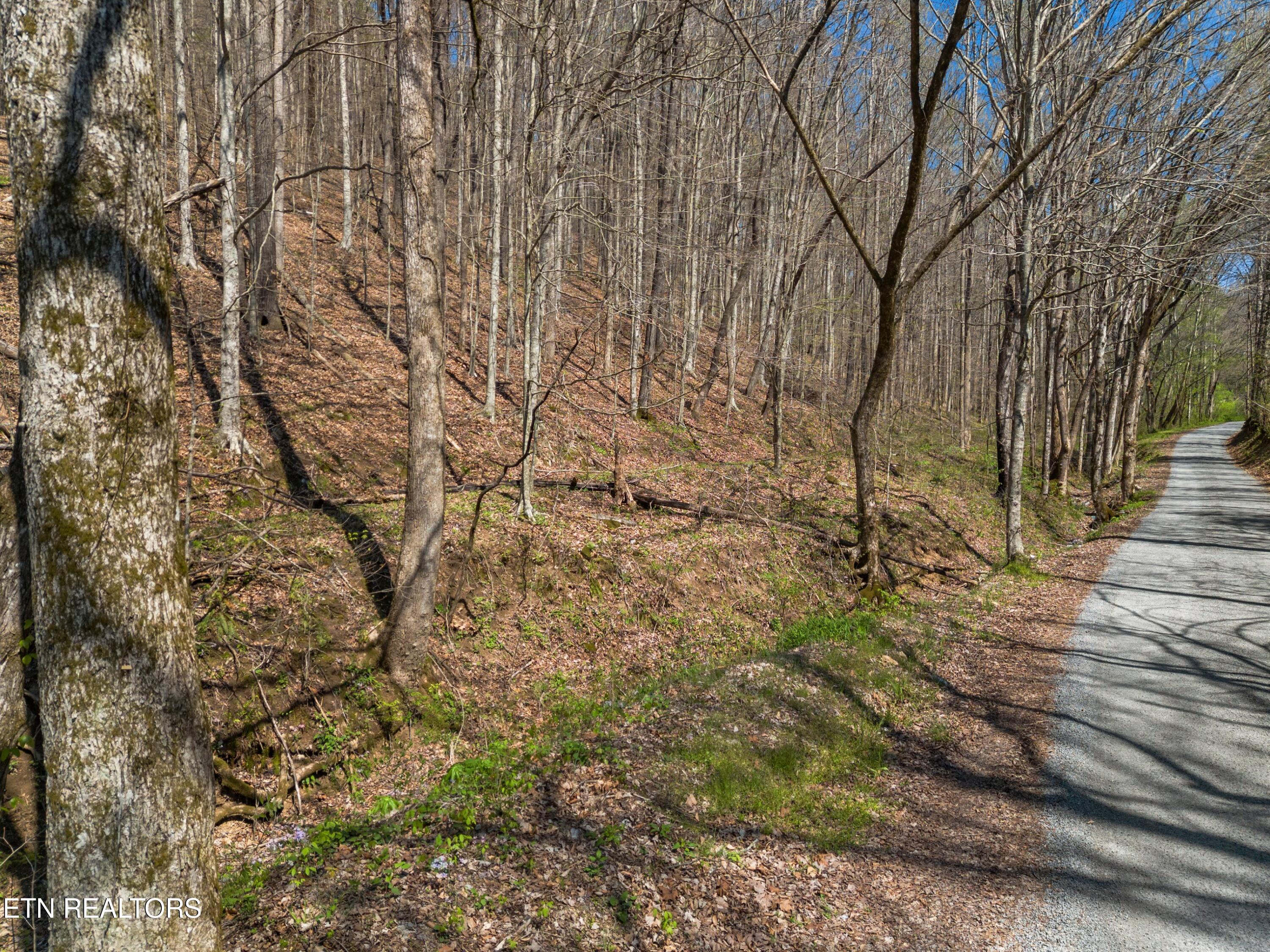 Greever Hollow Road Tazewell, TN 37879 - Photo 13 of 19 002-GreeverHollowRoad-Taswell-TN-37879-S