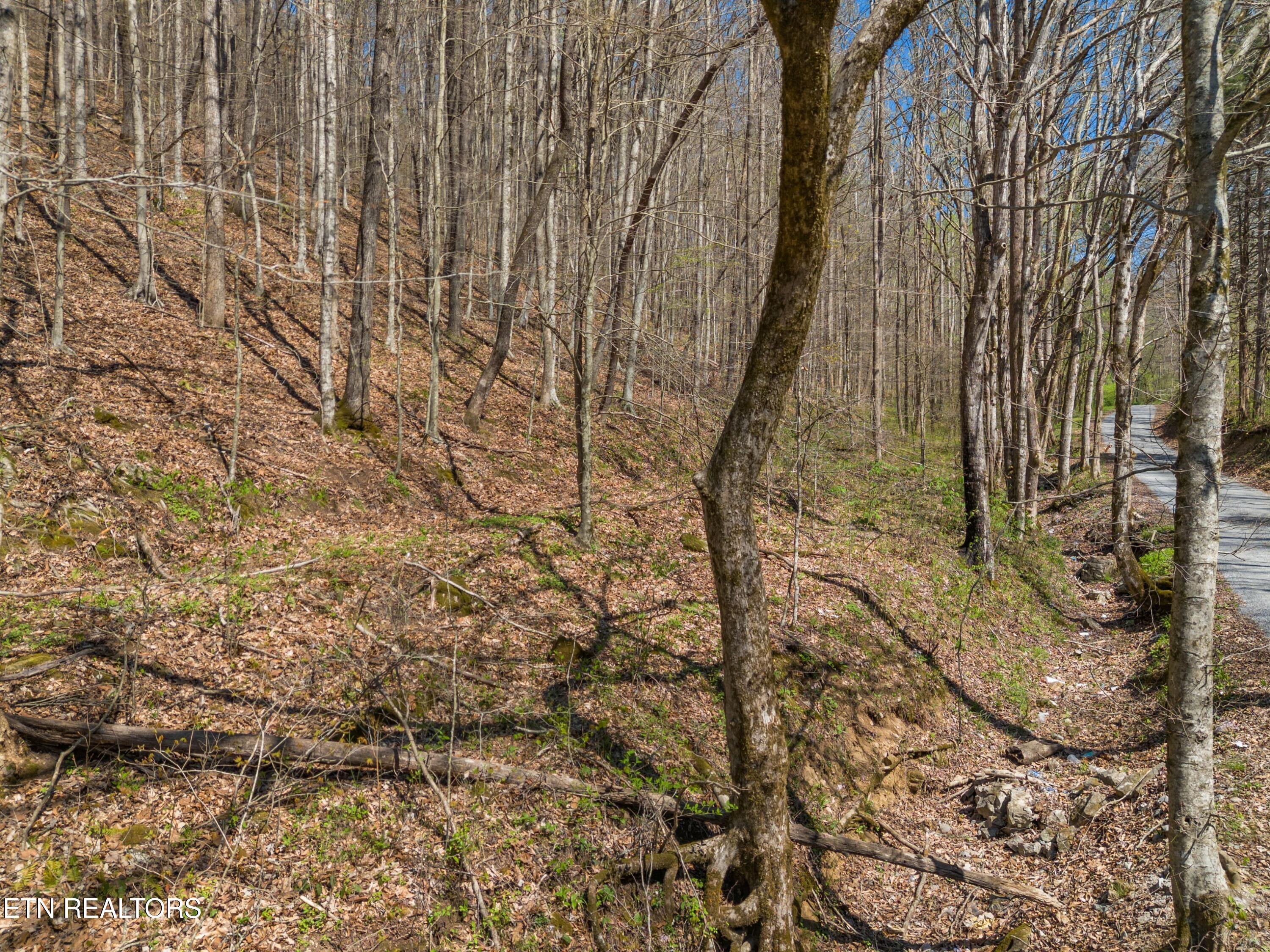 Greever Hollow Road Tazewell, TN 37879 - Photo 14 of 19 004-GreeverHollowRoad-Taswell-TN-37879-S