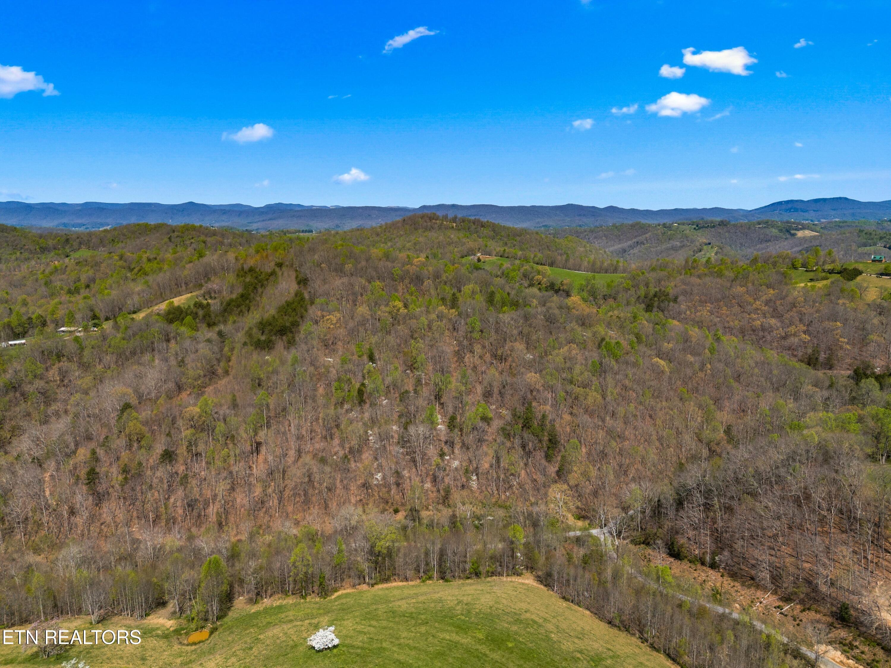 Greever Hollow Road Tazewell, TN 37879 - Photo 15 of 19 005-GreeverHollowRoad-Taswell-TN-37879-S