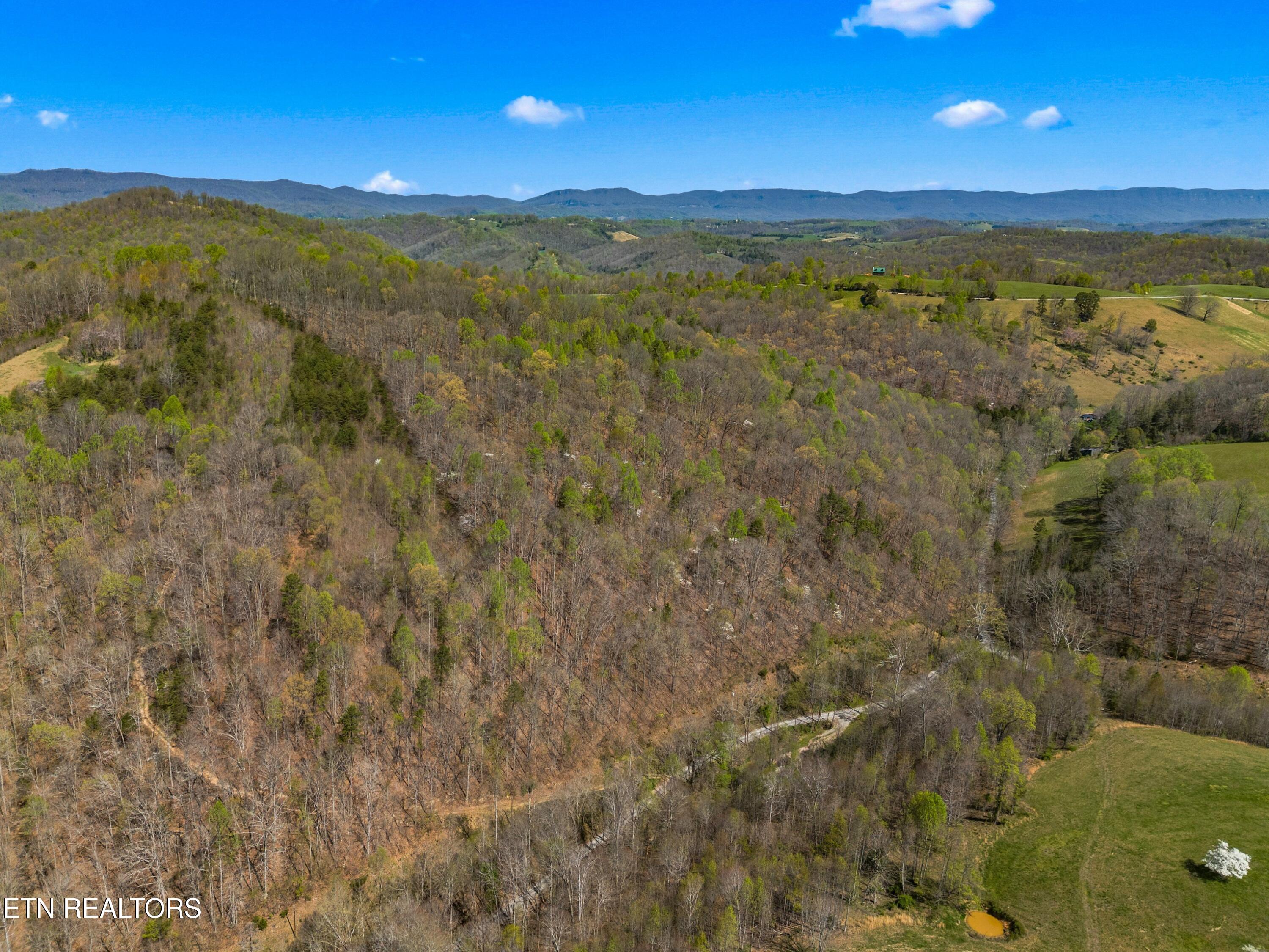 Greever Hollow Road Tazewell, TN 37879 - Photo 16 of 19 006-GreeverHollowRoad-Taswell-TN-37879-S